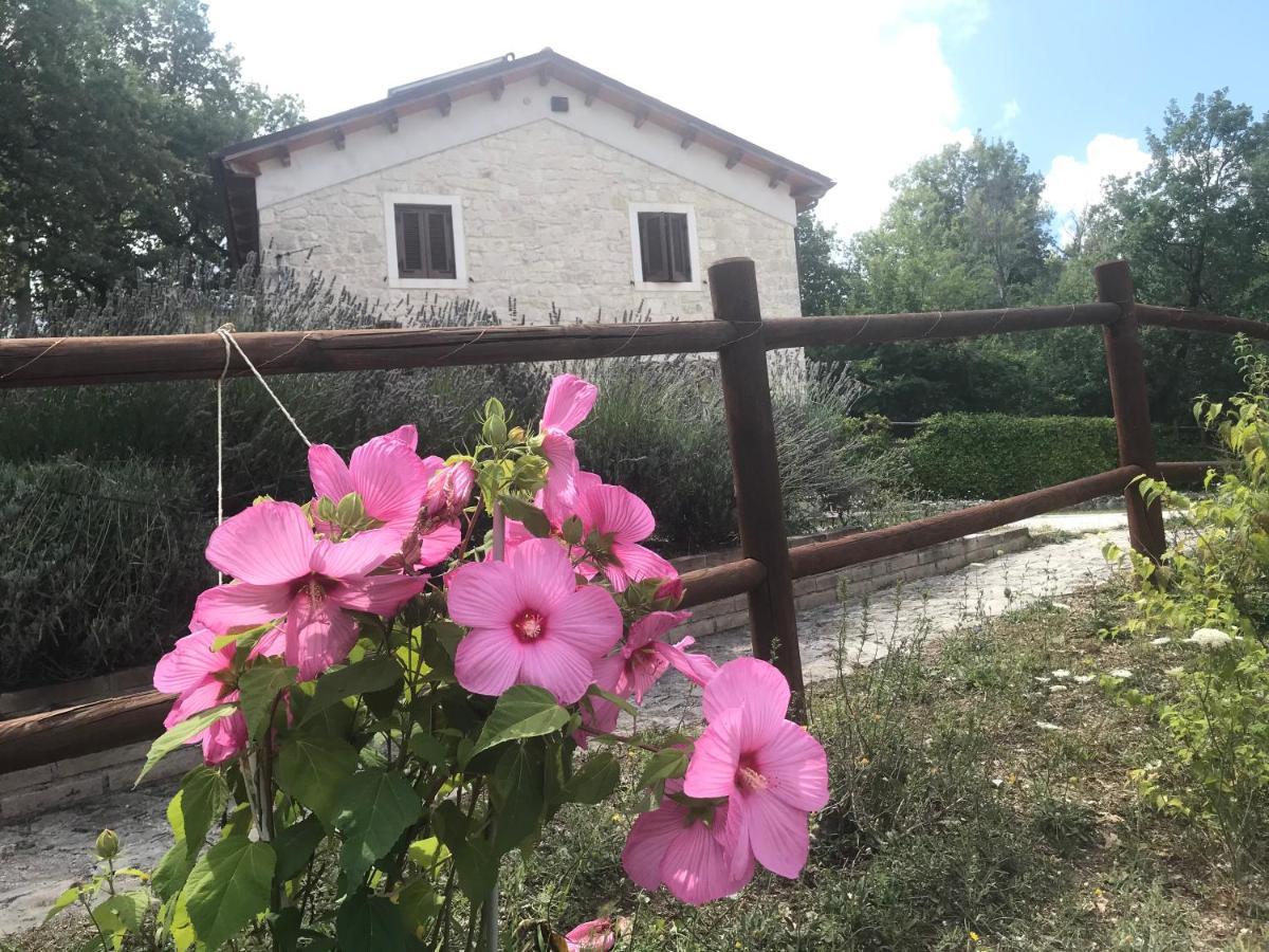 Antiche Dimore Bed and breakfast *