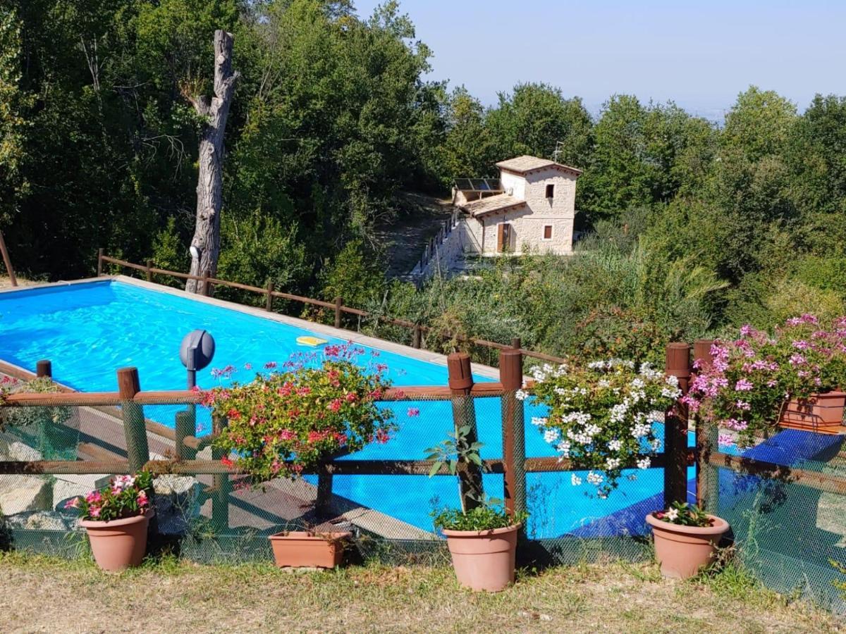 Antiche Dimore Bed and breakfast *