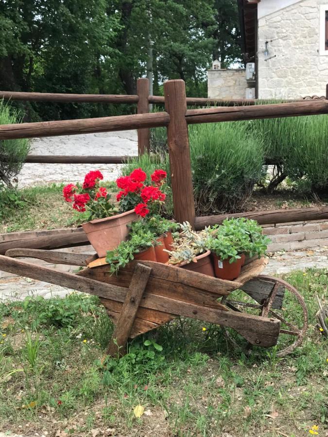 Antiche Dimore Bed and breakfast