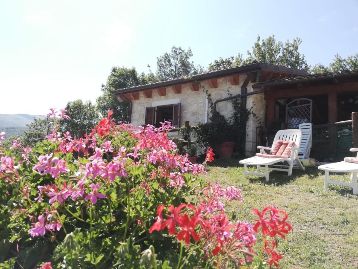 Antiche Dimore Bed and breakfast Abbateggio