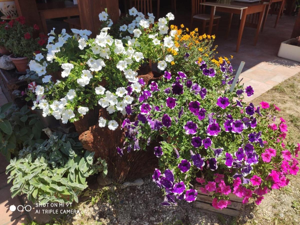 Bed & Breakfast Antiche Dimore