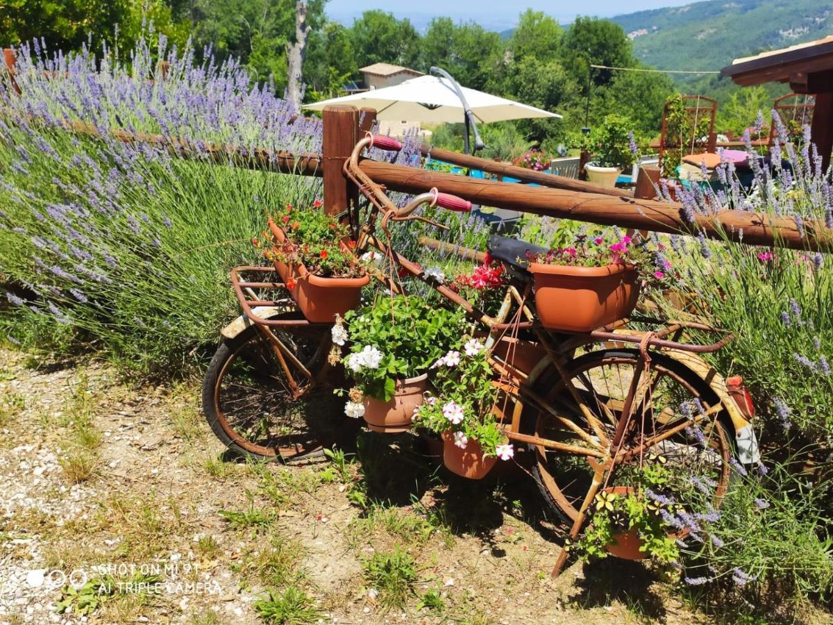 Antiche Dimore Bed and breakfast