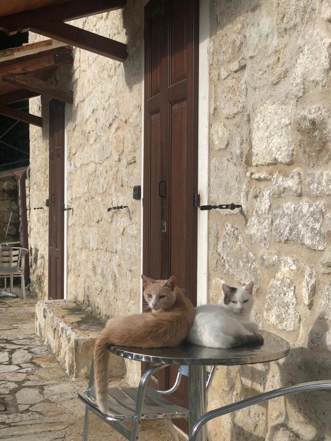 Bed and breakfast Antiche Dimore